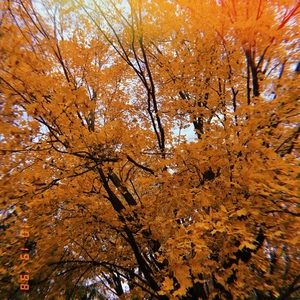 Meet your Posher, Brook